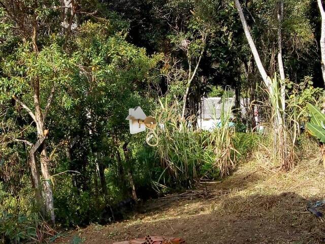 Casa para Venda em São Paulo - 3