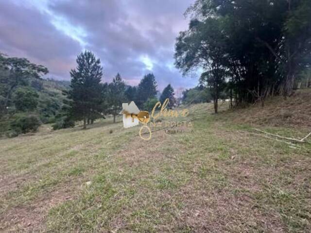 #204209 - Terreno para Venda em Itapecerica da Serra - SP - 1