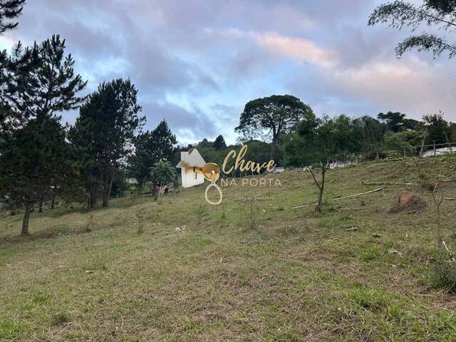Terreno para Venda em Itapecerica da Serra - 5