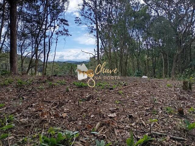 #204210 - Terreno para Venda em Juquitiba - SP - 1