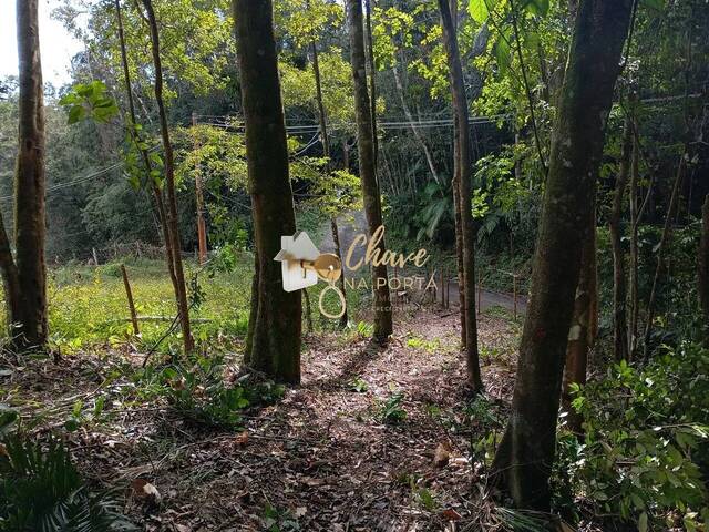 #204210 - Terreno para Venda em Juquitiba - SP - 2