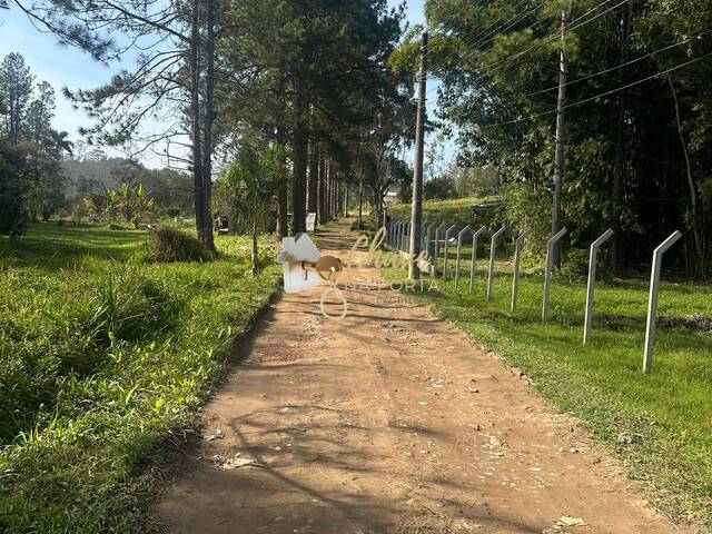 Terreno para Venda em São Paulo - 5