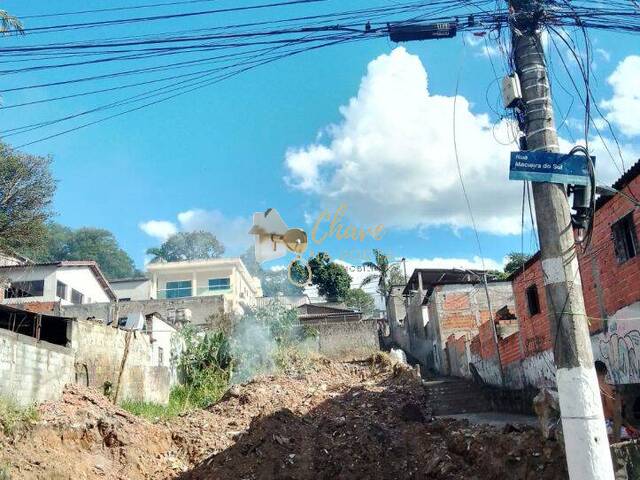 #203819 - Terreno para Venda em São Paulo - SP - 1