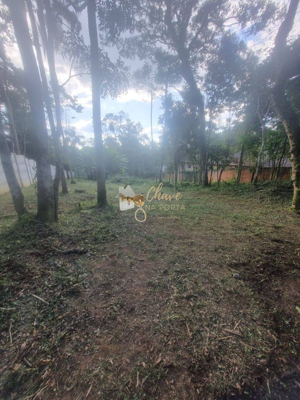 Terreno, 2000 m² - Foto 4