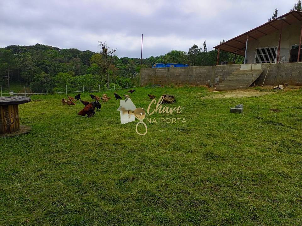 Sítio, 7 quartos, 1 hectares - Foto 12