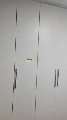 Apartamento, 92 m² - Foto 8