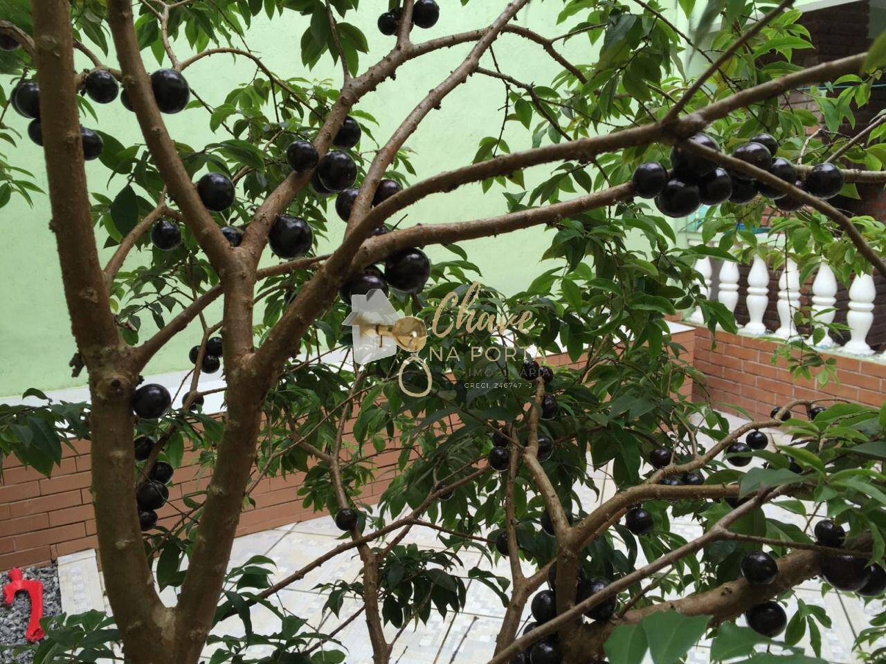 Casa, 3 quartos, 127 m² - Foto 21