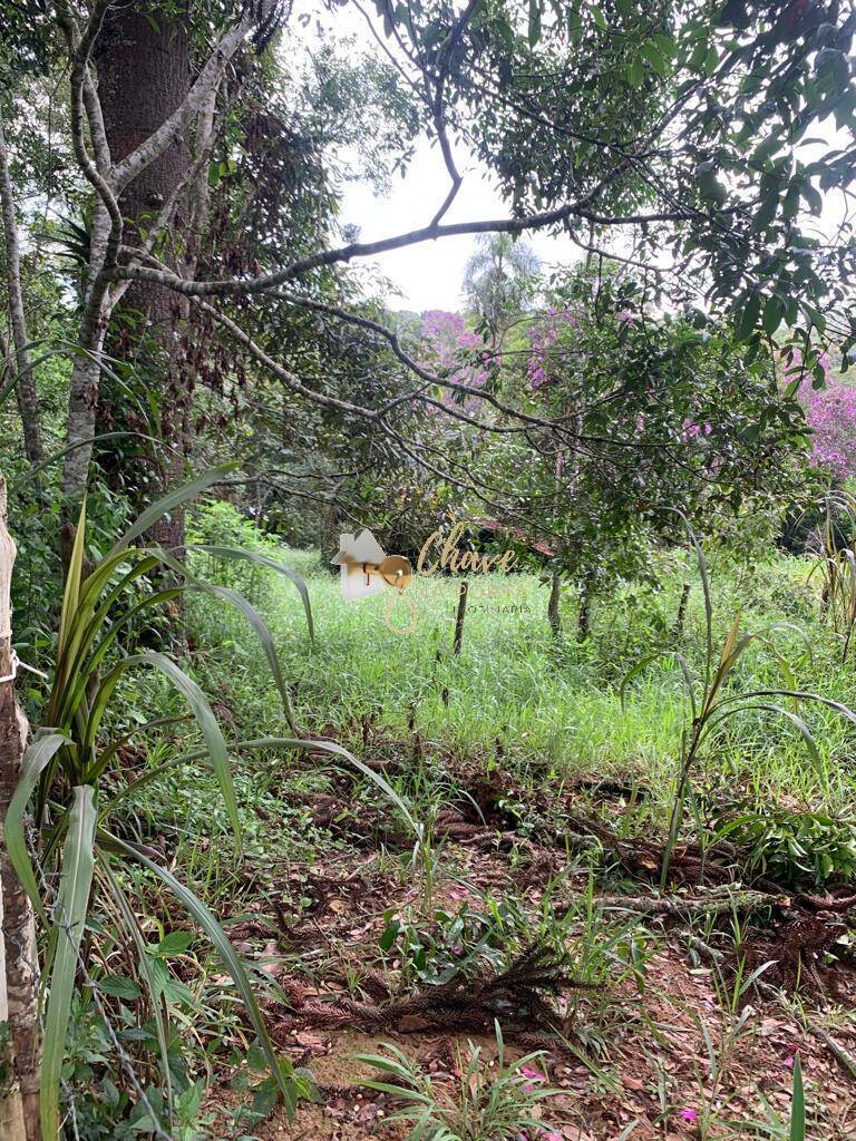 Terreno, 5265 m² - Foto 6