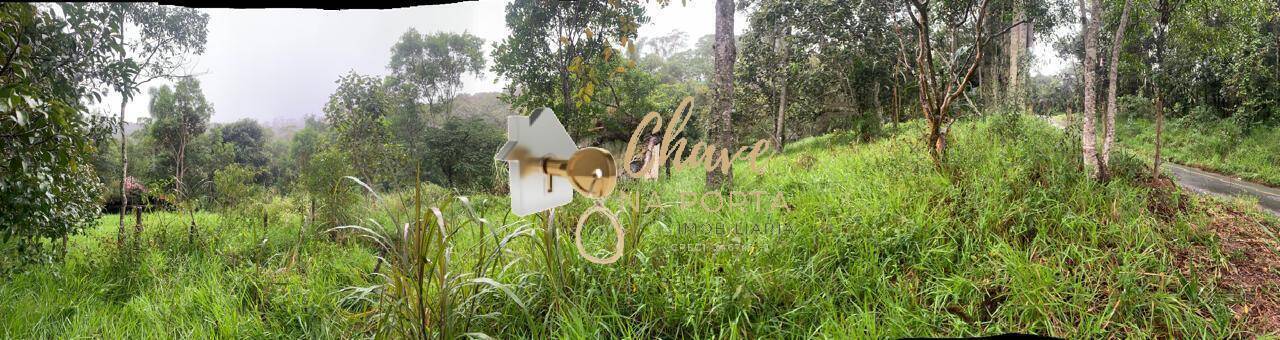 Terreno, 5265 m² - Foto 11