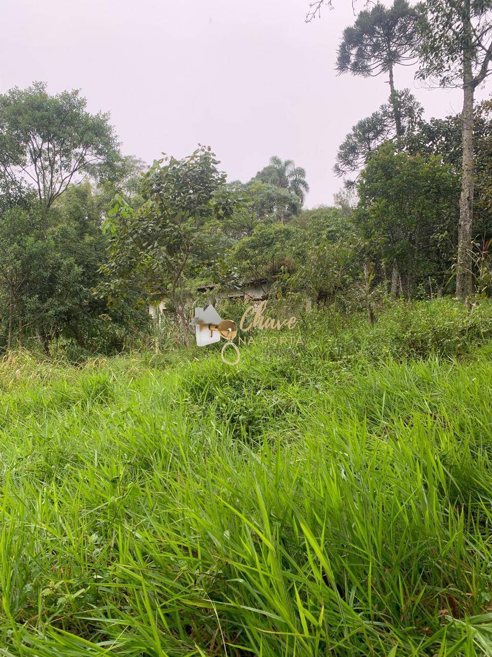 Terreno, 5265 m² - Foto 7