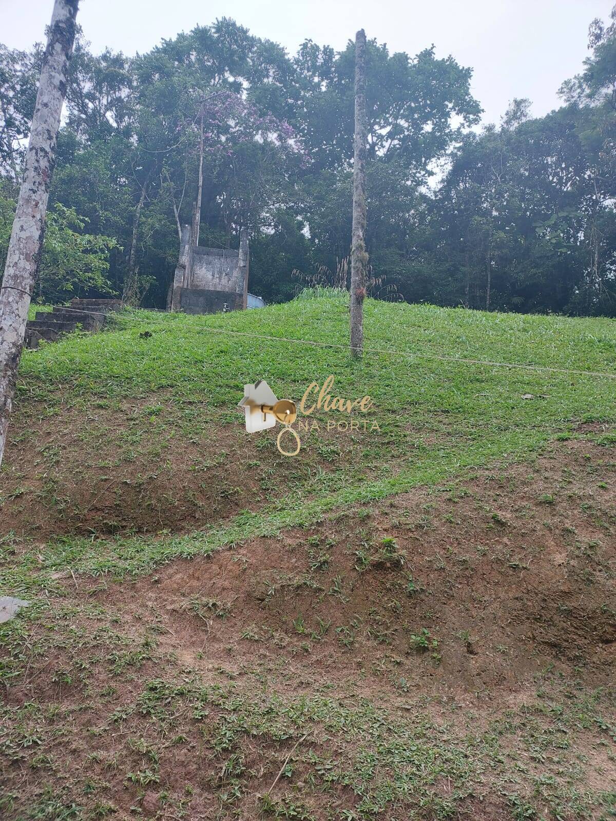 Chácara, 3 quartos, 4000 m² - Foto 6