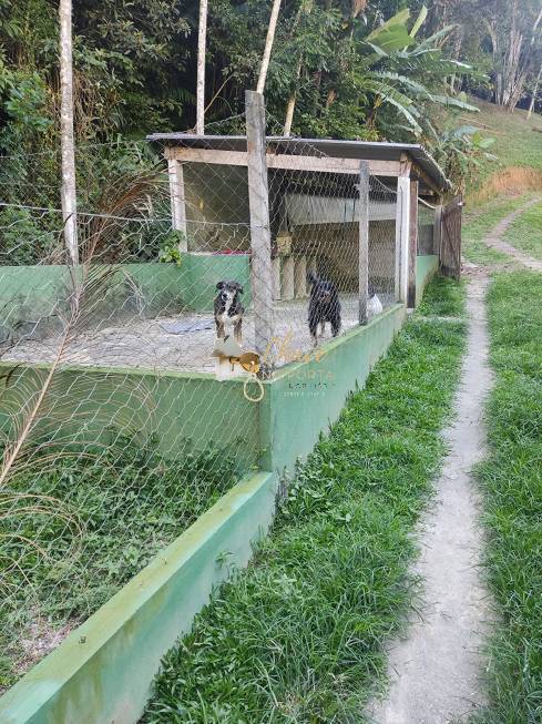 Chácara, 3 quartos, 4000 m² - Foto 8