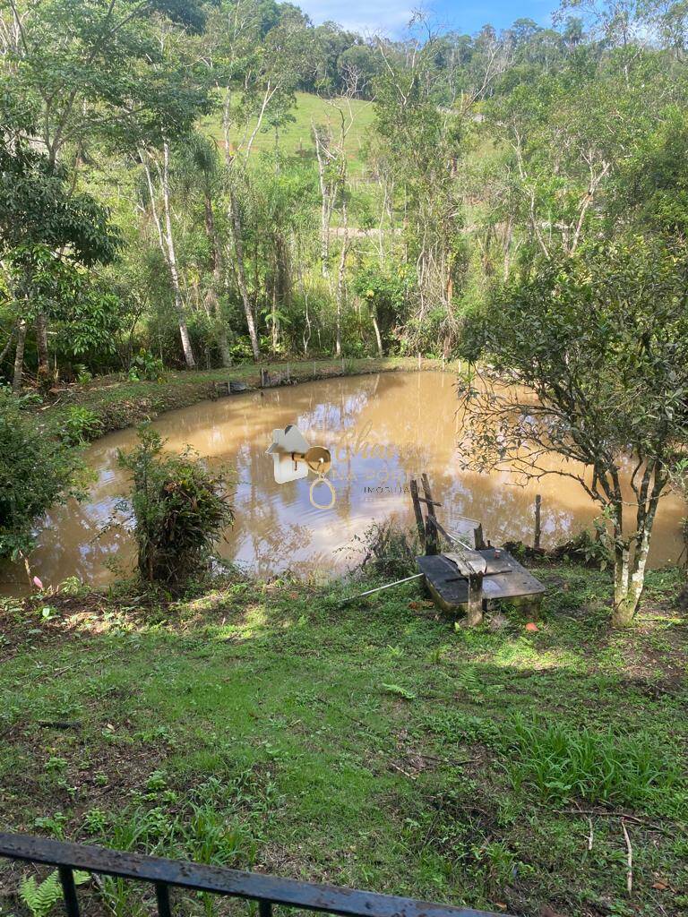 Sítio, 3 quartos, 3800 m² - Foto 4