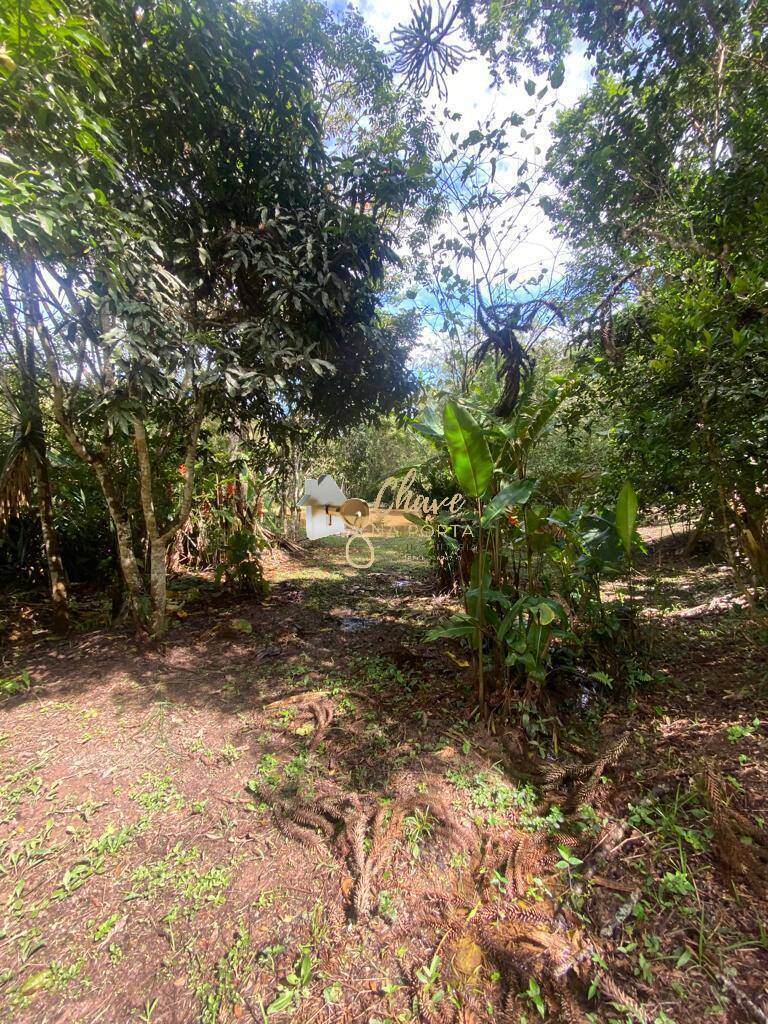 Chácara, 3 quartos, 3800 m² - Foto 9