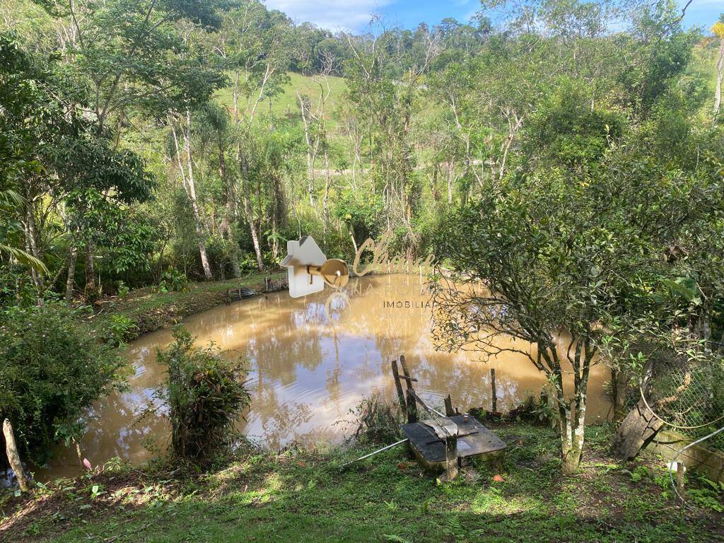 Sítio, 3 quartos, 3800 m² - Foto 5