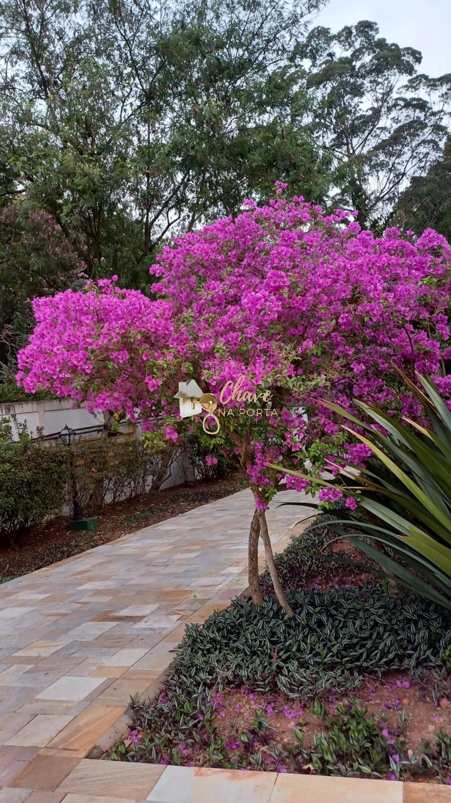 Apartamento, 2 quartos, 84 m² - Foto 19