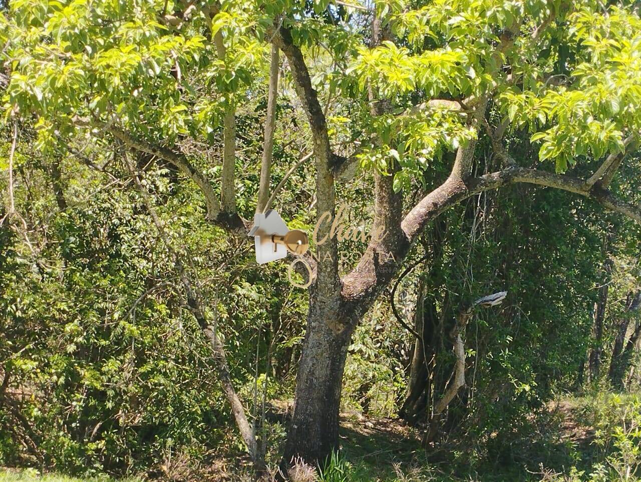 Casa, 1 quarto, 381200 m² - Foto 11