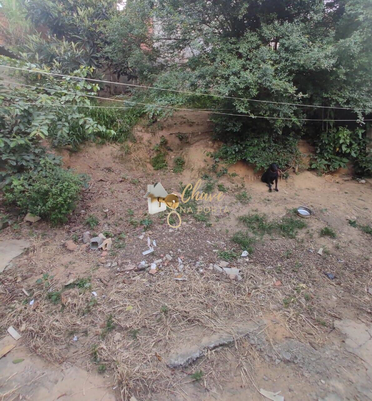 Casa, 4 quartos, 196 m² - Foto 8