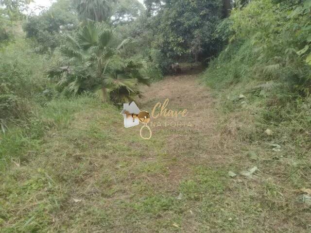 Casa, 2 quartos, 1600 m² - Foto 19