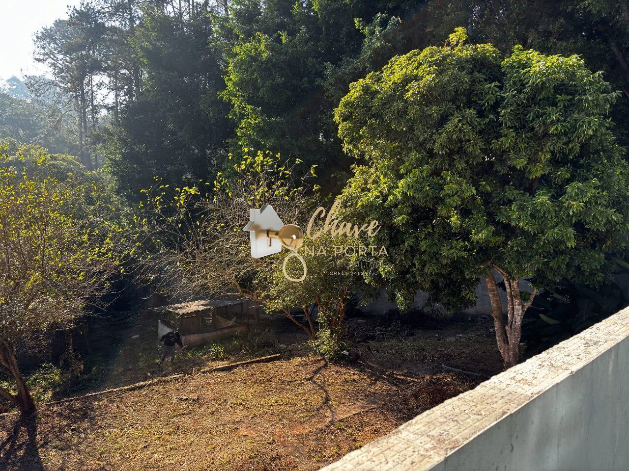 Chácara, 2 quartos, 2980 m² - Foto 9