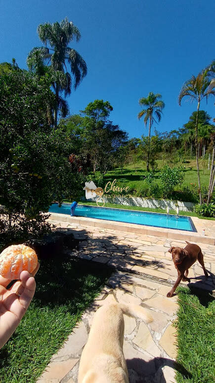 Chácara, 4 quartos, 5900 m² - Foto 3