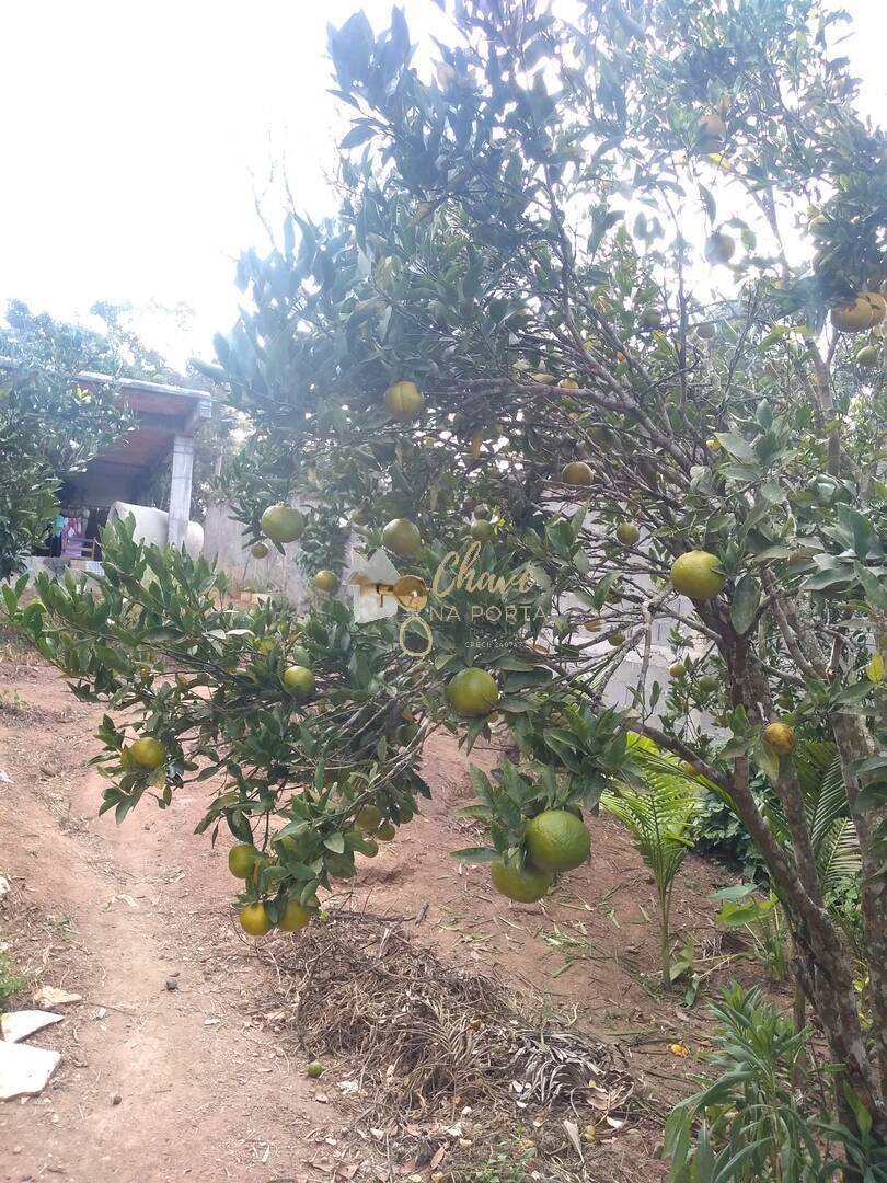 Chácara, 2 quartos, 1187 m² - Foto 1