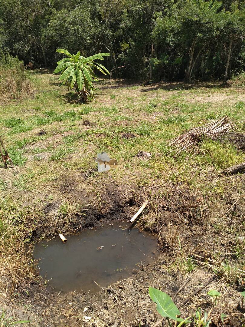 Chácara, 2 quartos, 1187 m² - Foto 5