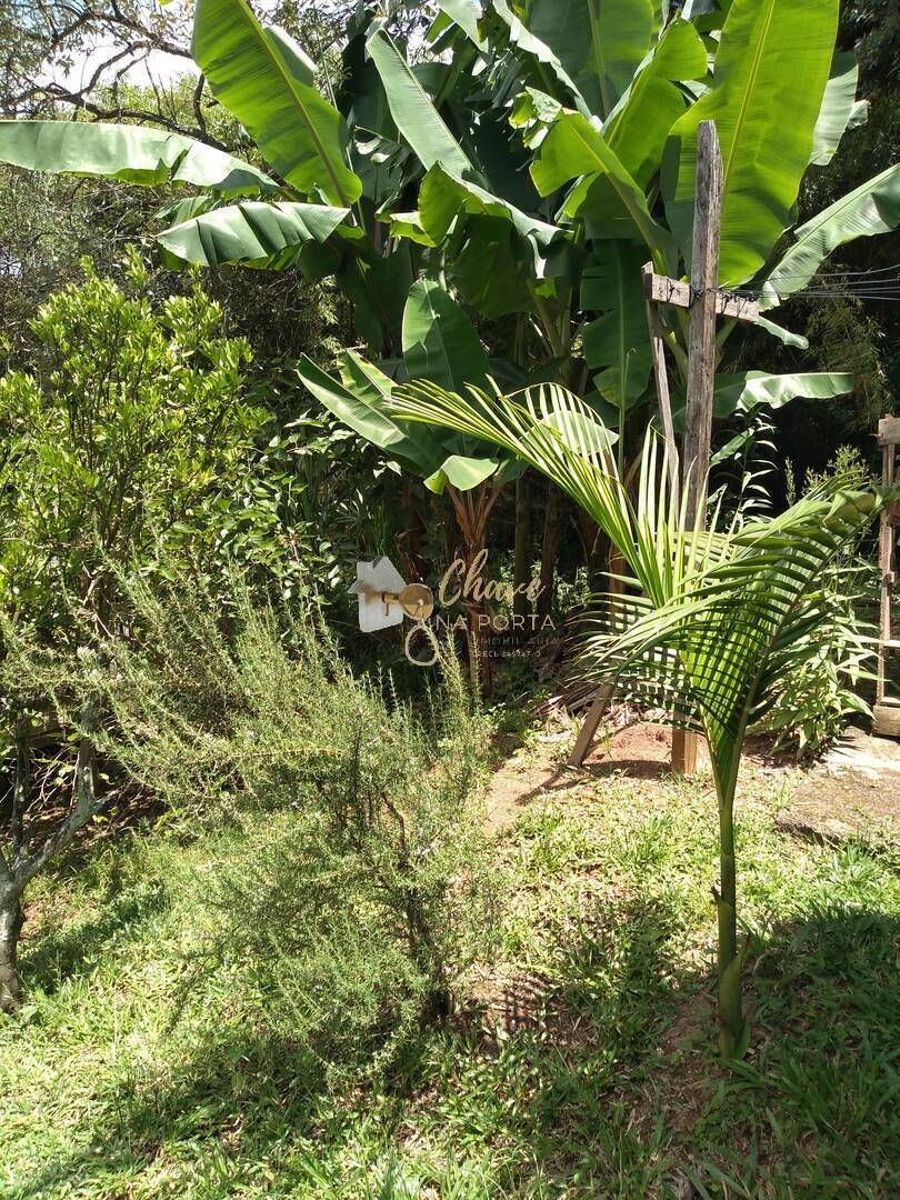 Chácara, 2 quartos, 1187 m² - Foto 3