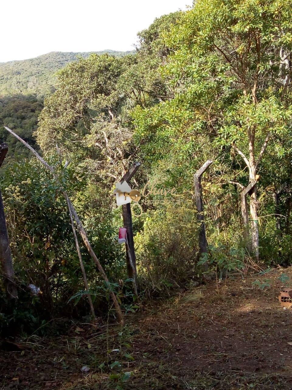 Casa, 1 quarto, 4000 m² - Foto 4