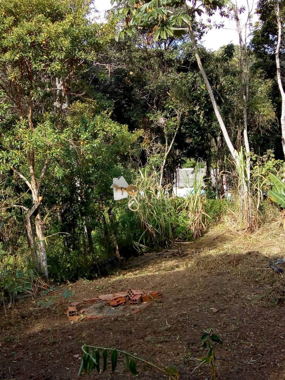 Casa, 1 quarto, 4000 m² - Foto 3