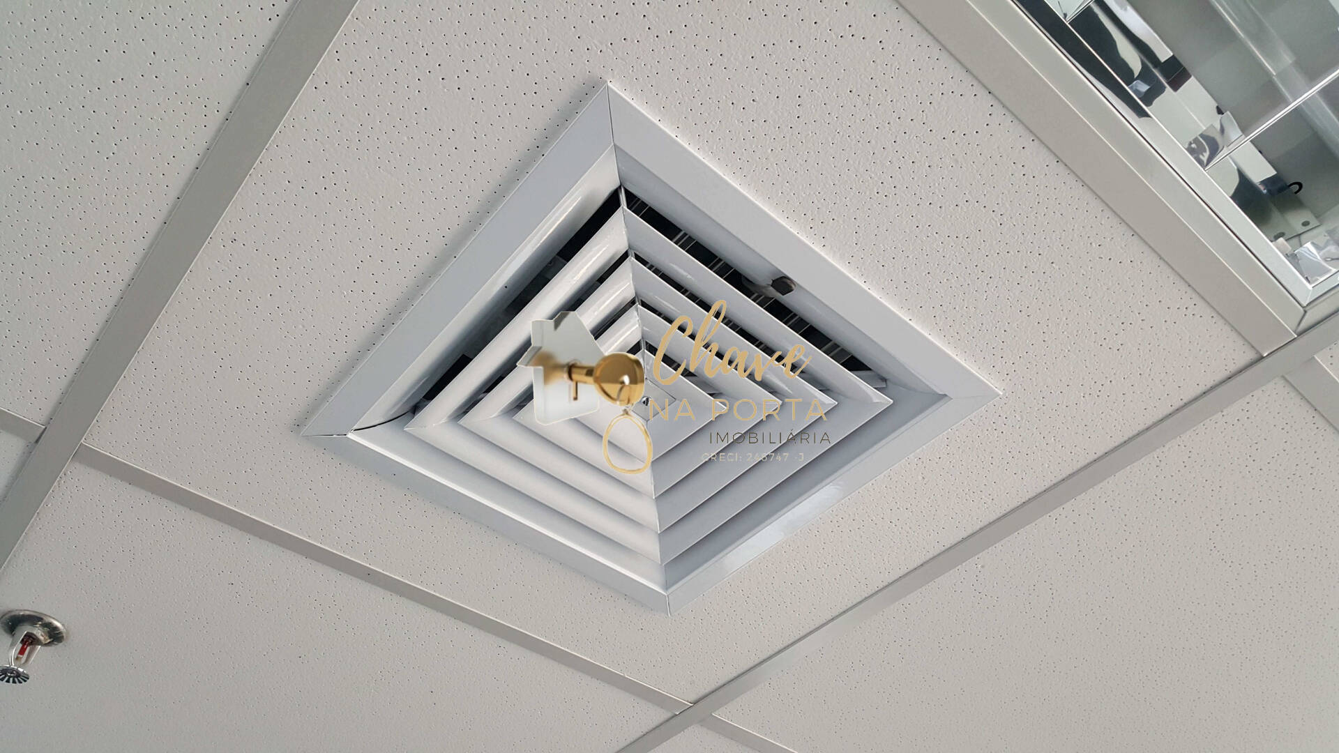 Sala-Conjunto, 316 m² - Foto 3