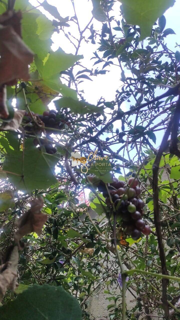 Chácara, 3 quartos, 1132 m² - Foto 30