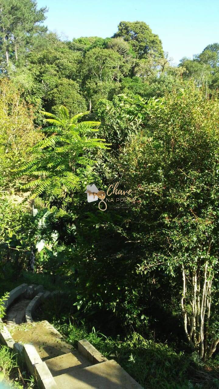 Chácara, 3 quartos, 1132 m² - Foto 26