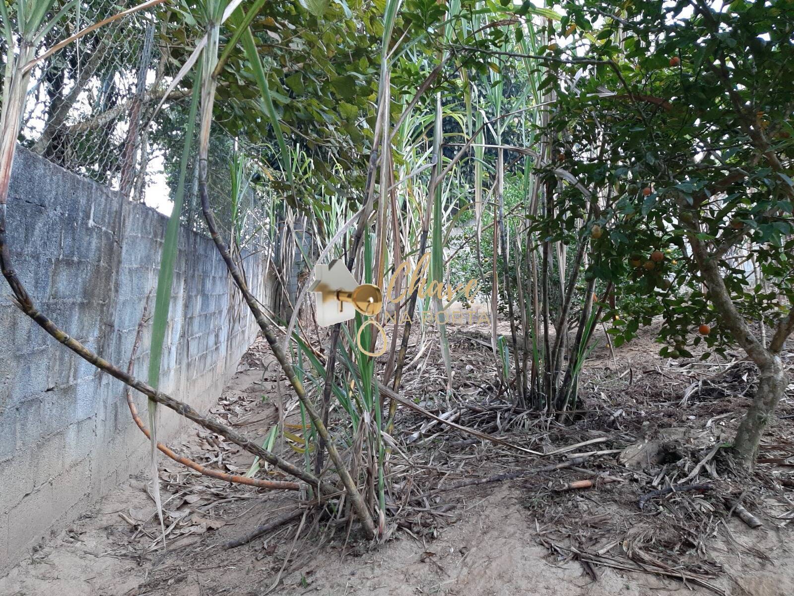 Chácara, 3 quartos, 4400 m² - Foto 8