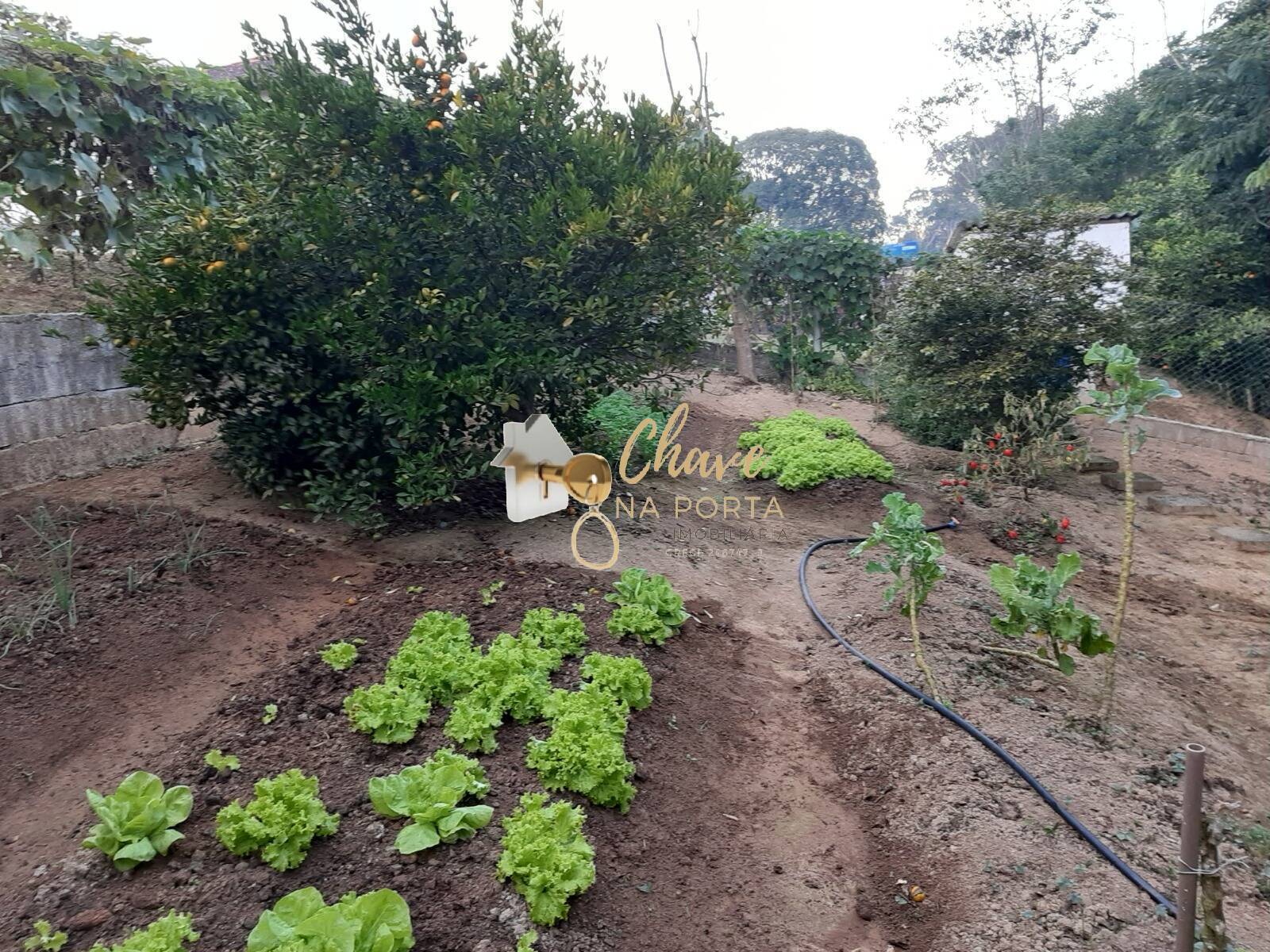 Chácara, 3 quartos, 4400 m² - Foto 12