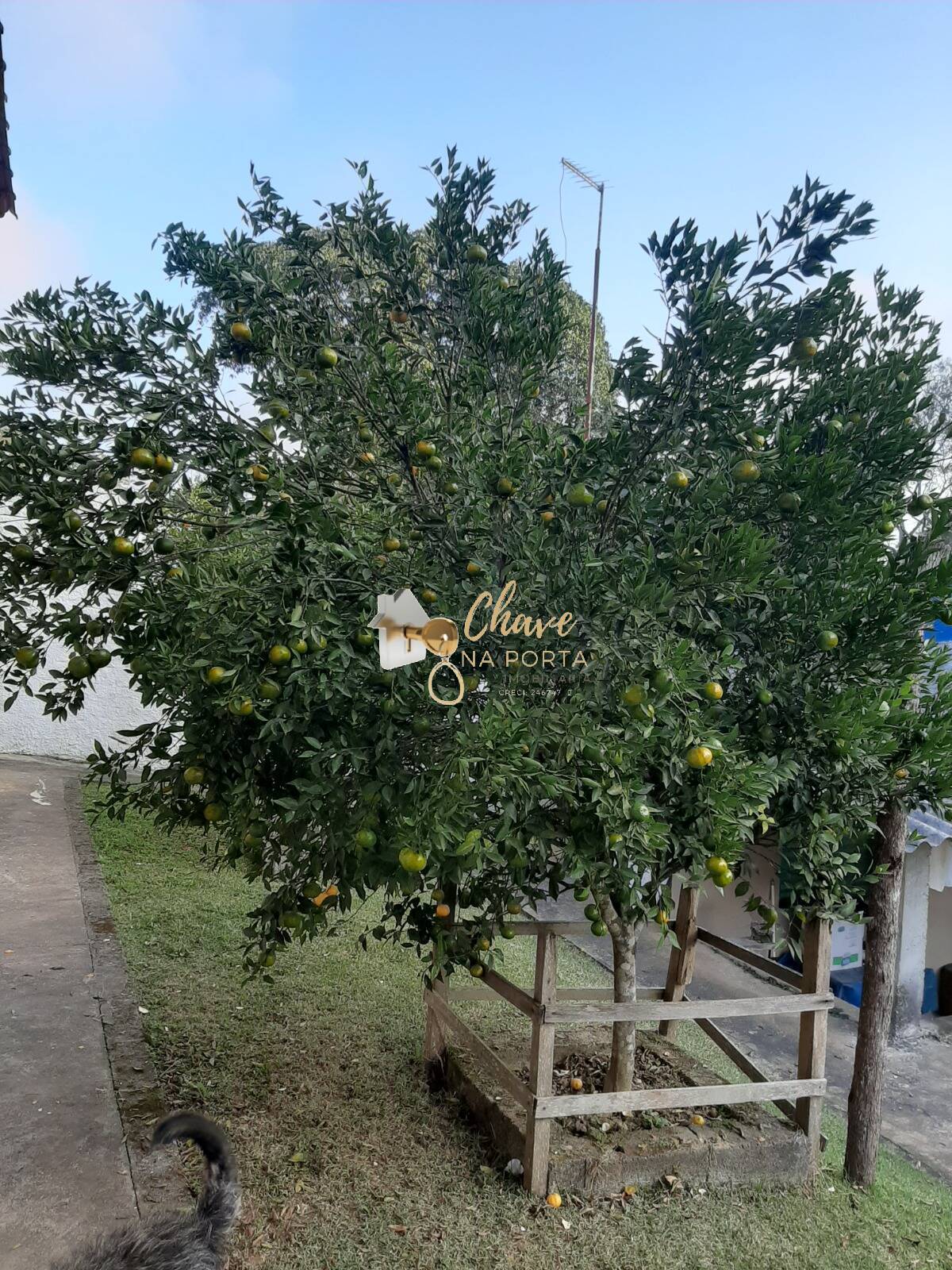 Chácara, 3 quartos, 4400 m² - Foto 13