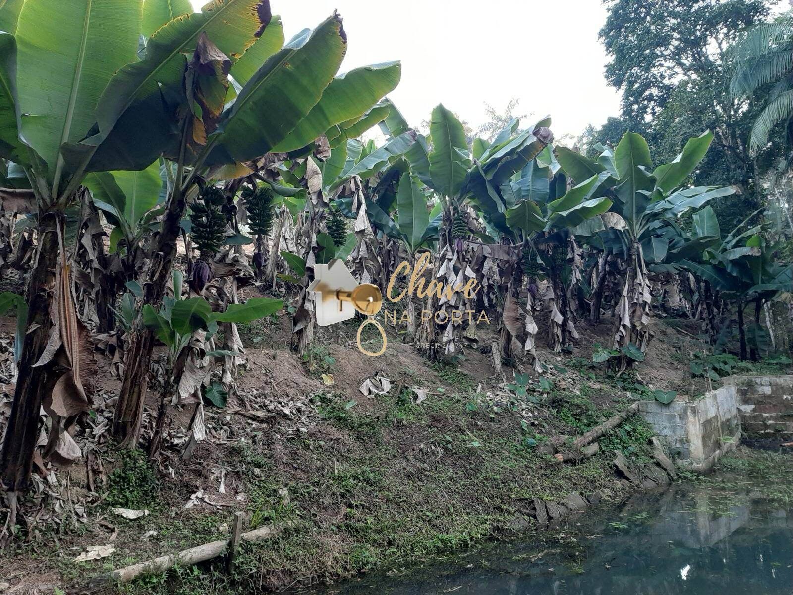 Chácara, 3 quartos, 4400 m² - Foto 14