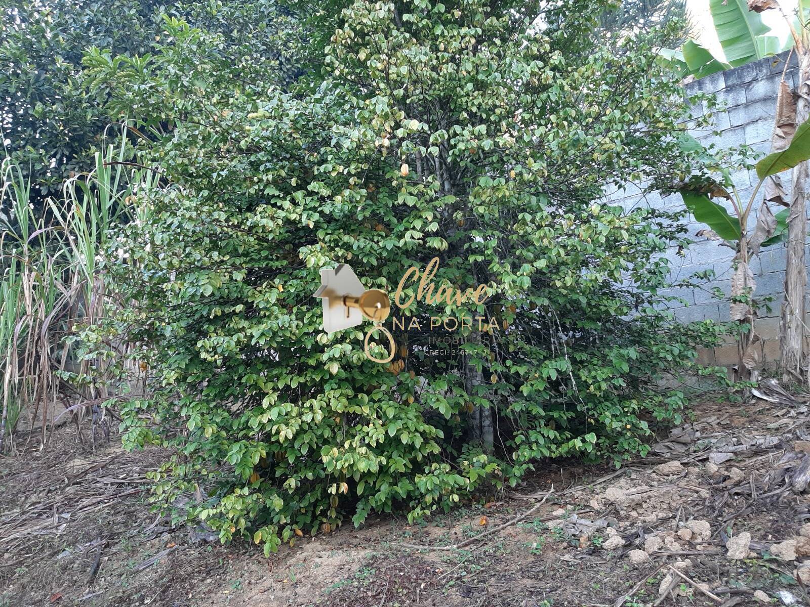 Chácara, 3 quartos, 4400 m² - Foto 16