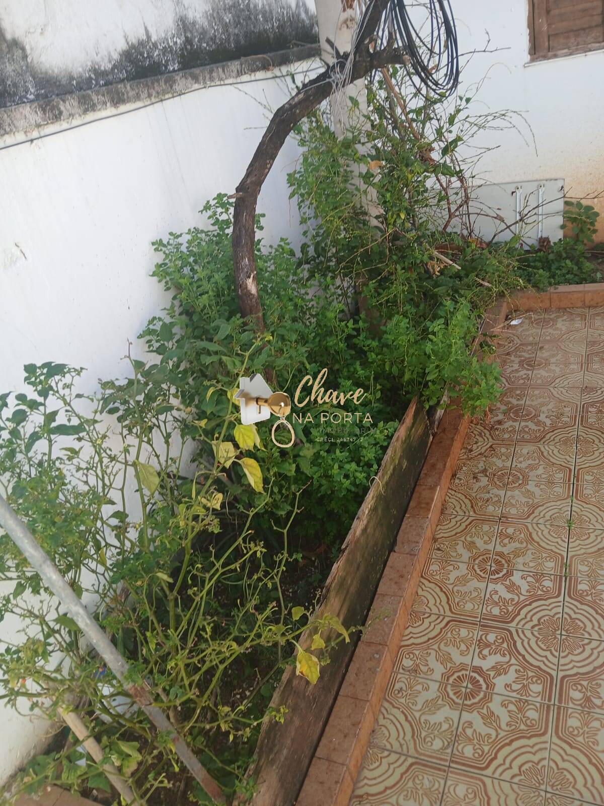 Casa, 3 quartos, 160 m² - Foto 23
