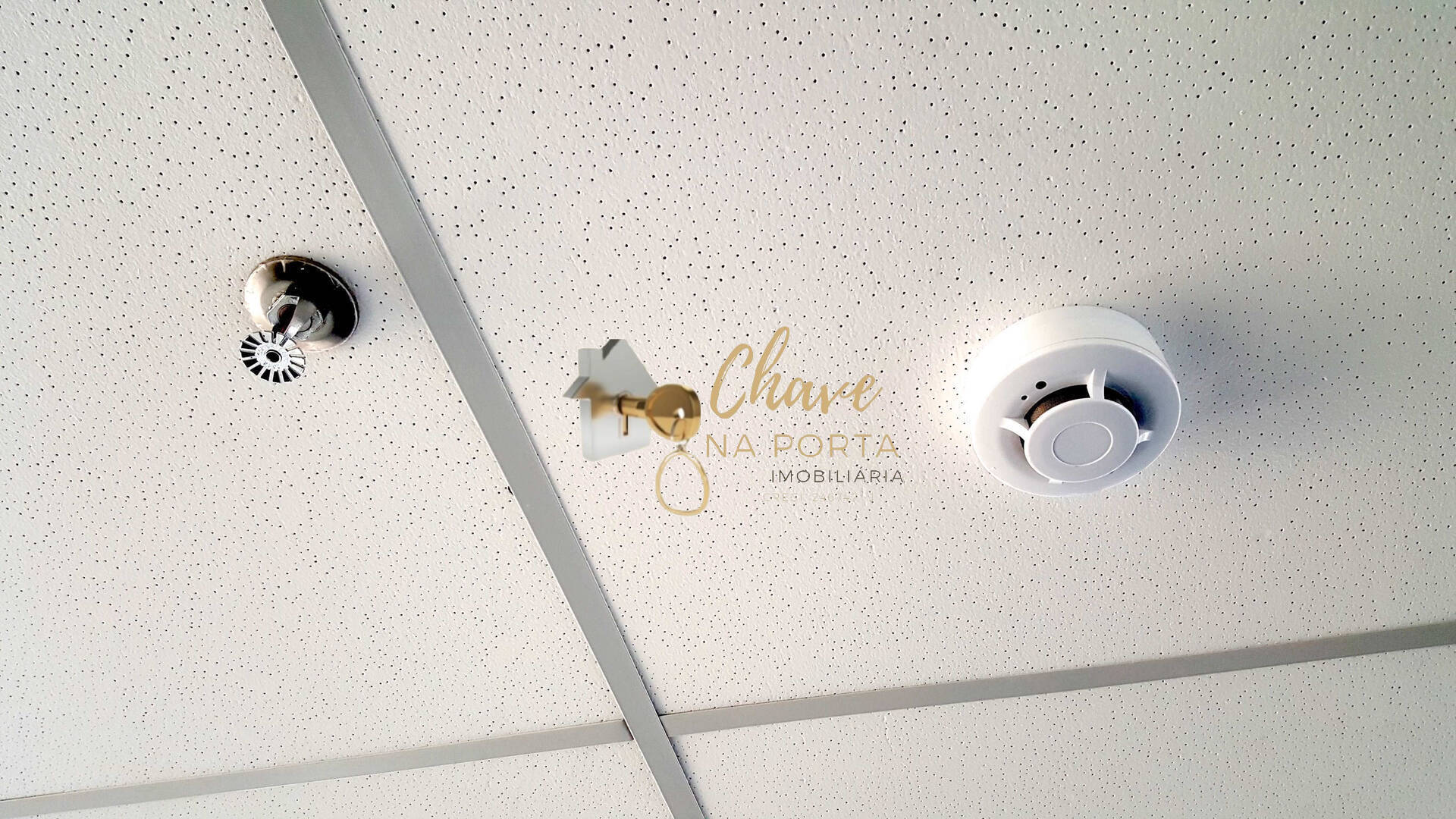 Sala-Conjunto, 632 m² - Foto 5
