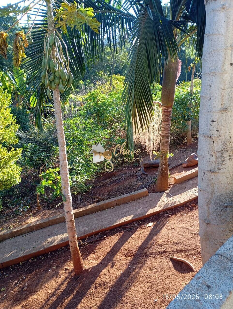 Chácara, 3 quartos, 1610 m² - Foto 24