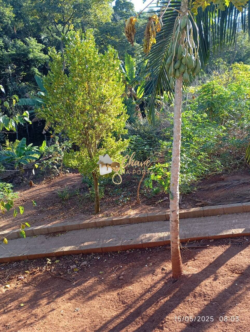 Chácara, 3 quartos, 1610 m² - Foto 25