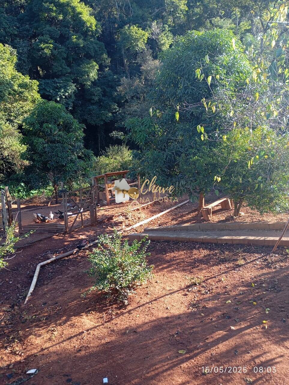 Chácara, 3 quartos, 1610 m² - Foto 26