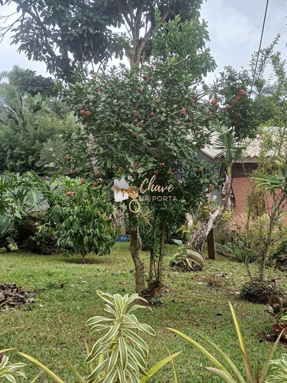 Chácara, 3 quartos, 2500 m² - Foto 37