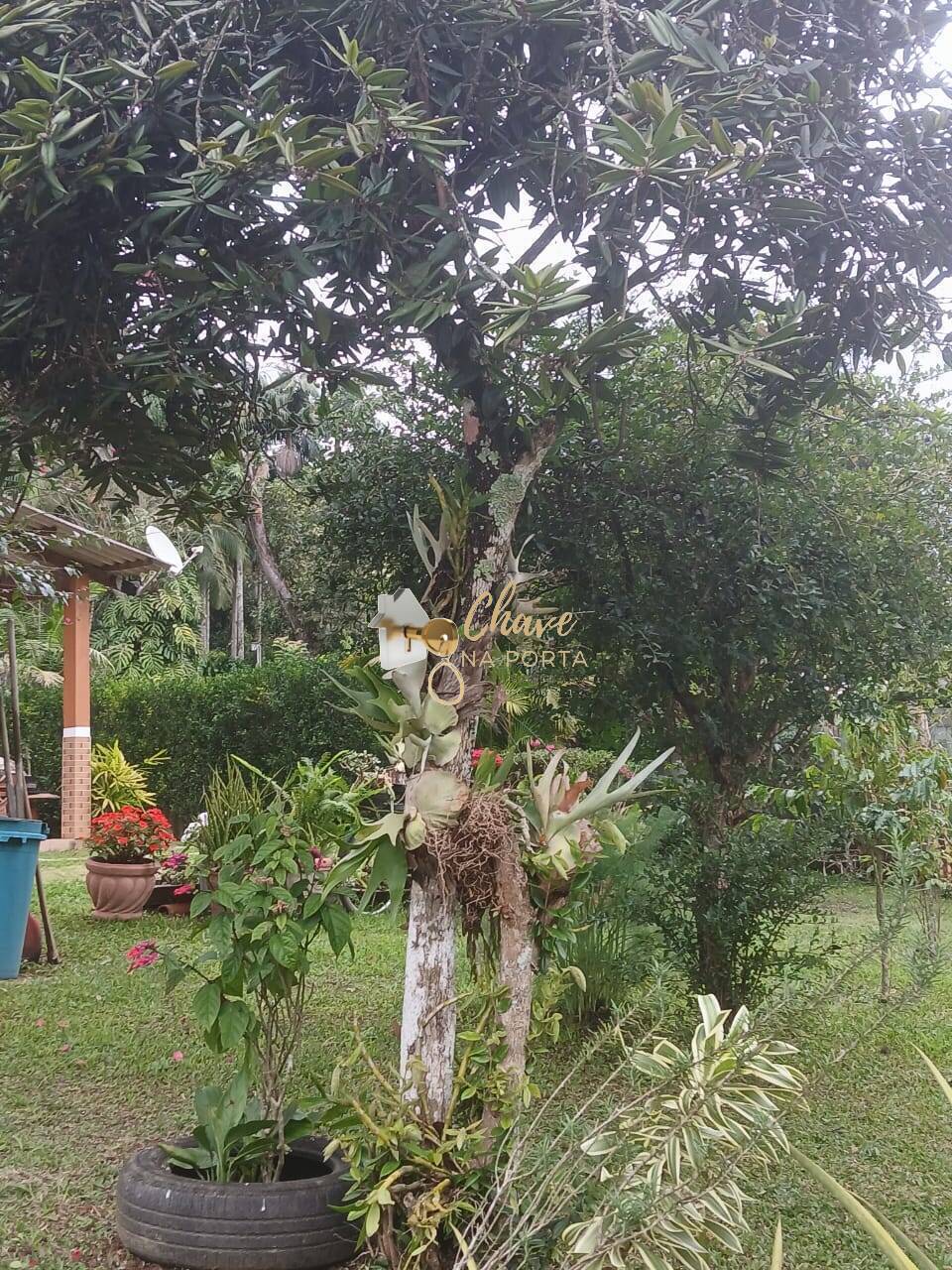 Chácara, 3 quartos, 2500 m² - Foto 36