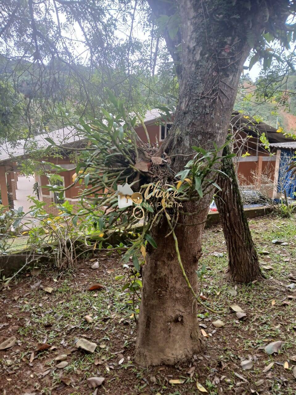 Chácara, 3 quartos, 2500 m² - Foto 31