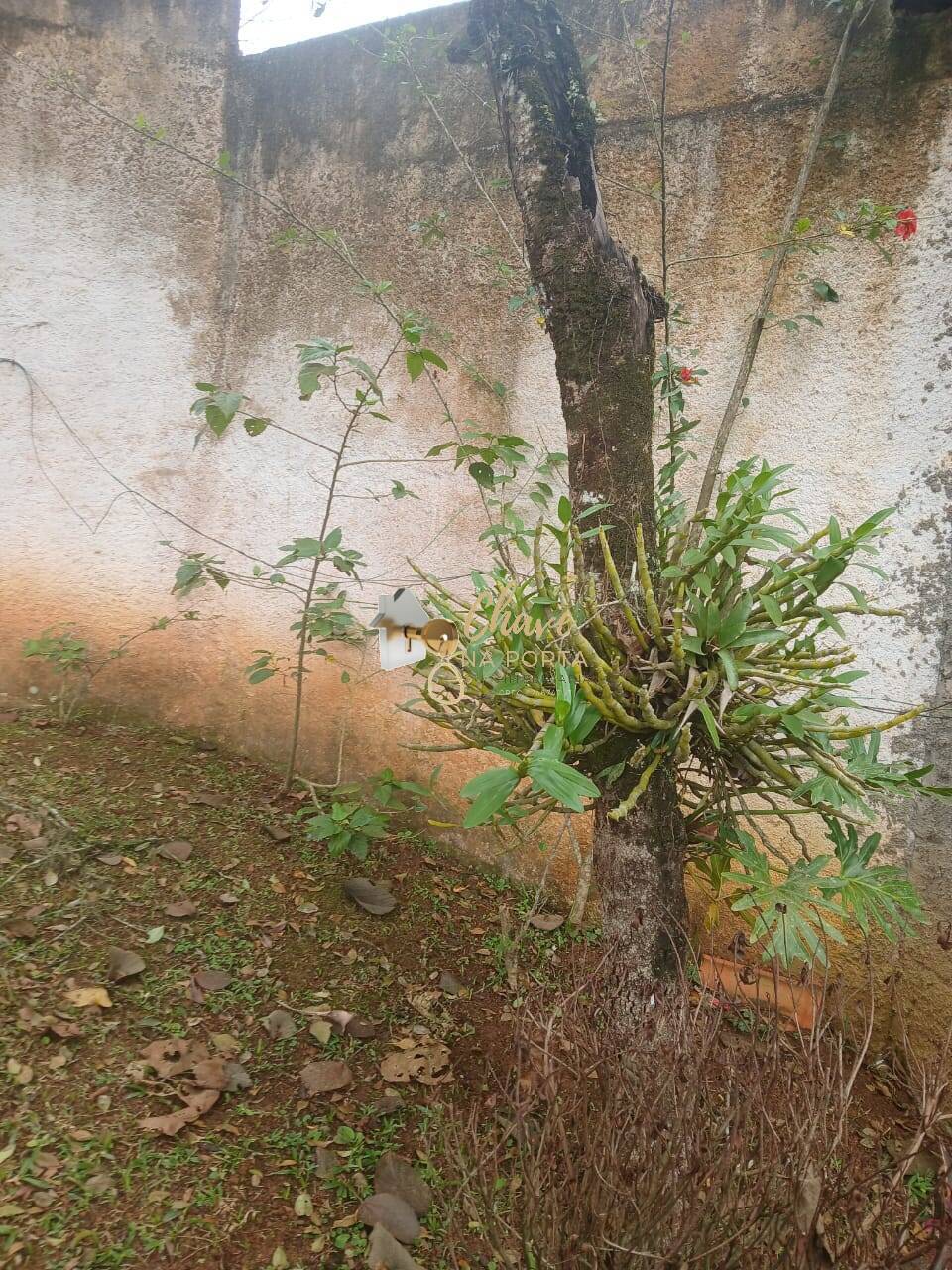 Chácara, 3 quartos, 2500 m² - Foto 35