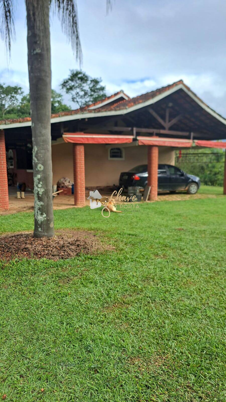 Chácara, 3 quartos, 1000 m² - Foto 30