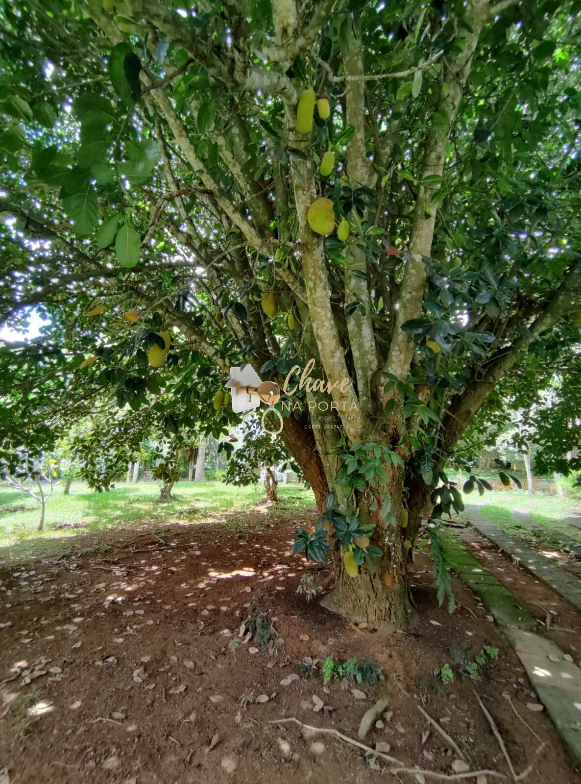 Chácara, 5 quartos, 4000 m² - Foto 28