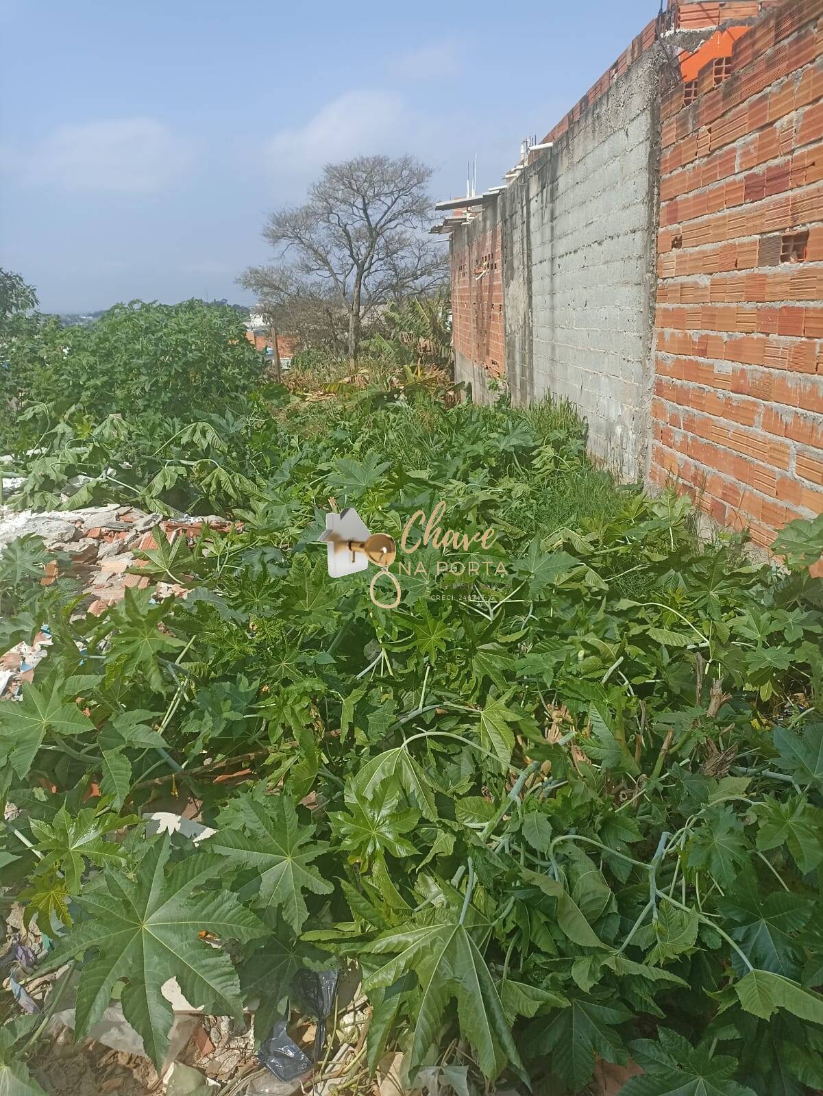 Terreno, 125 m² - Foto 9